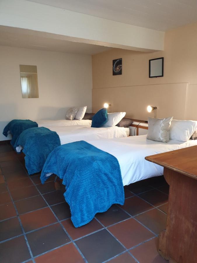 Zebra Crossing Backpacker Hostel Cape Town Luaran gambar